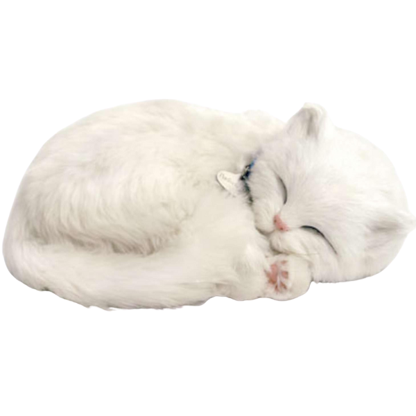 Котенок белого окраса, с имитацией дыхания